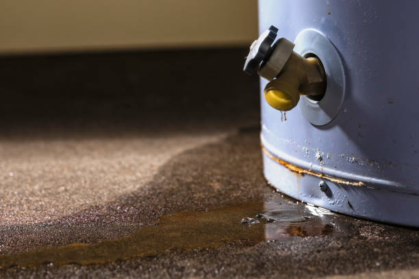 Best Residential water damage restoration  in Champaign, IL
