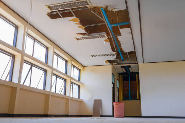 Best Water damage restoration experts  in Champaign, IL