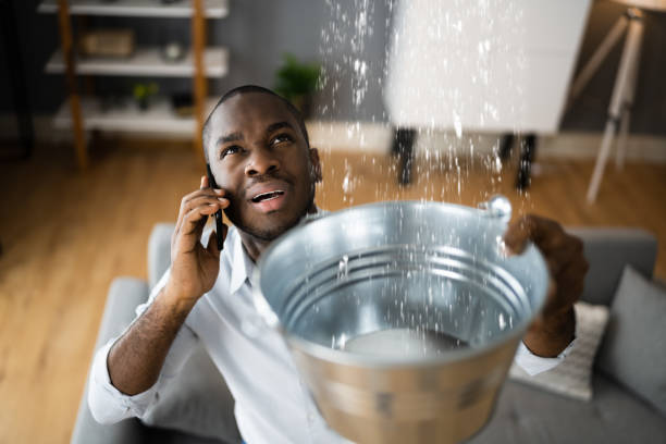 Best Commercial water damage restoration  in Champaign, IL