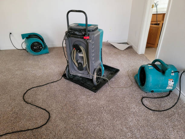 Best Flooded house restoration  in Champaign, IL