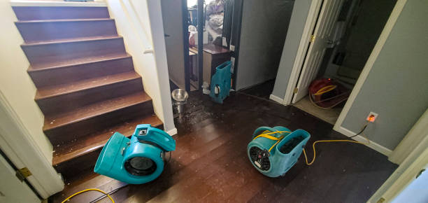 Best Emergency water damage restoration  in Champaign, IL