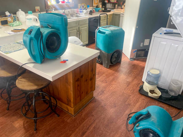 Best Water damage restoration near me  in Champaign, IL