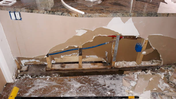 Best Mold removal after water damage  in Champaign, IL