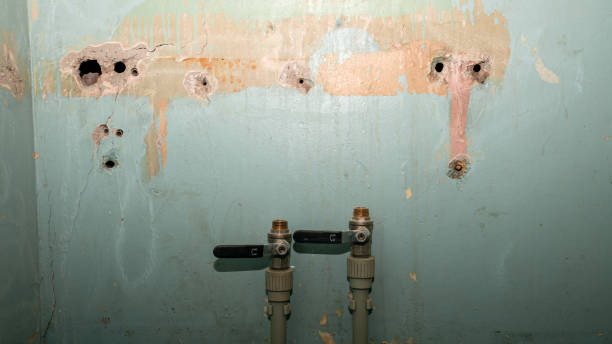 Best Sewage cleanup and water damage restoration  in Champaign, IL