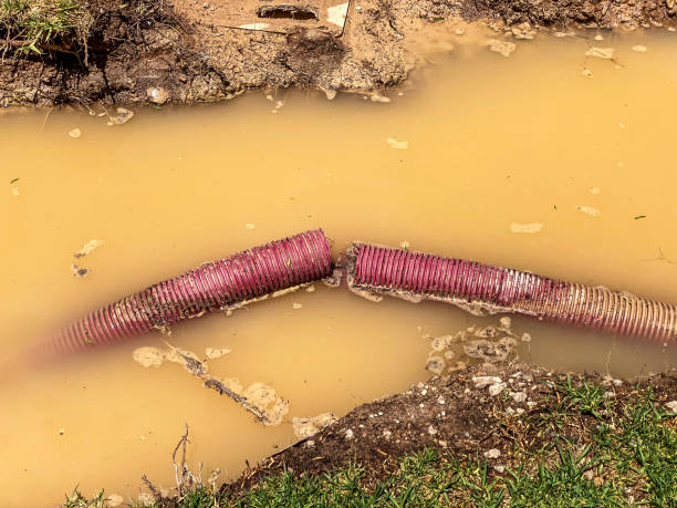 Best 24/7 water damage repair  in Champaign, IL
